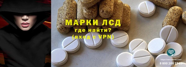 стаф Алзамай