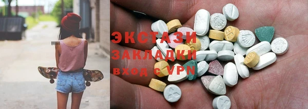 индика Алексин