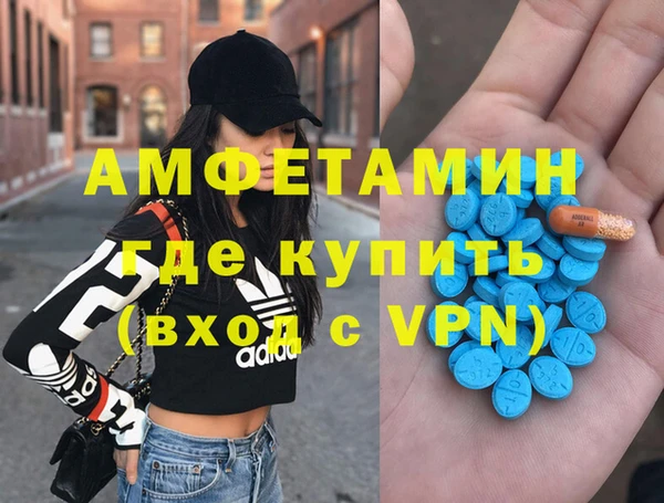 стаф Алзамай
