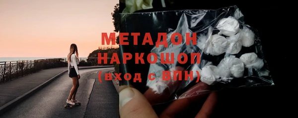 стаф Алзамай