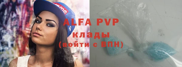 индика Алексин