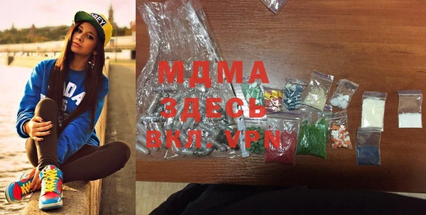 индика Алексин
