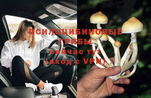 стаф Алзамай