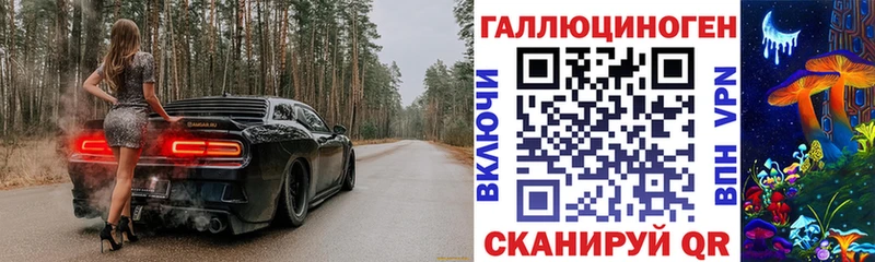 Галлюциногенные грибы Psilocybe  kraken как зайти  Котово  купить наркоту 